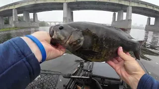 My Best Day Ever on the Susquehanna River!