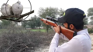 Long Range Dove hunting With Diana 34 Classic & Customer Good Reviews