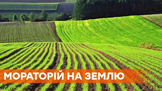 Реформа продажу землі. Що про неї думають аграрії та як їх захистити