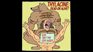 Thylacine: Dead or Alive?