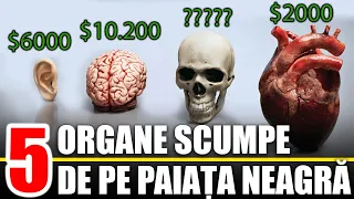 7 Cele Mai Scumpe Organe De Pe Piata Neagra