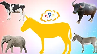 CUTE ANIMALS  Donkey Funny Puzzle Videos (Choose The Right Donkey Puzzle Video)#cutepuzzle