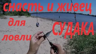 На что поймать судака/Снасть и живец для ловли судака/Не спортивная рыбалка