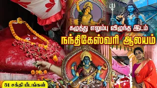 Nandikeshwari Temple in Sainthia West Bengal | 51 Sakthi Peetam | Yathra Time