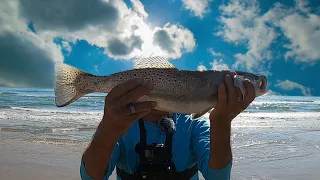 Padre Island National Seashore surf fishing for Speckled Trout