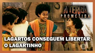 A TERRA PROMETIDA: Lagartos conseguem libertar o Lagartinho do cativeiro de Zaíra