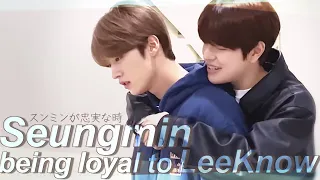 [ENG] スンミンがリノに忠実な時 | When Seungmin is loyal to Lee Know