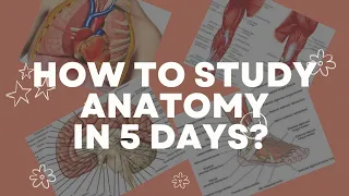 How to study Anatomy in 5 days?