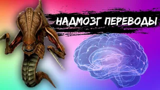 Надмозг переводы - [Very Well]