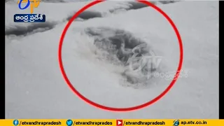 'Yeti Footprints' | Indian Army Mocked over Claim