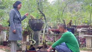 Tiết lộ bí kíp trồng tre bonsai sống và đẹp 100%