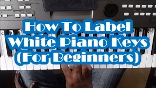 Piano Key Notes for Beginners - Lesson 1 - White Piano Keys Labeled - Names - Letters