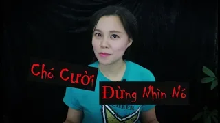 Chó Cười II Bức Ảnh Bí Mật Và Đáng Sợ II Truyện Creepypasta Chương 25