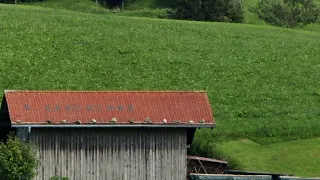 Burri i Motres ma dha ngoj une ja kryva shpejt