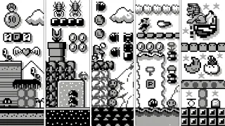 What If Super Mario Maker 2 Had a Super Mario Land Style? (SMM2 Complete Mod)