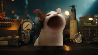 Build a Pop | Build a B. pop cat parody video