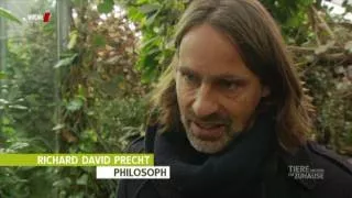 Richard David Precht | Tiere und ihre Intelligenz WDR 09.02.2017