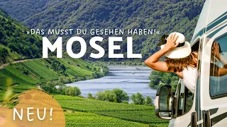 Die Mosel 😍 TOP Sehenswürdigkeiten für deinen Urlaub 🍇🍷Burg Eltz, Cochem und Calmont Klettersteig