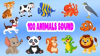 100 Animals Name | 100 Animals Flashcards | Kids Learning Animals