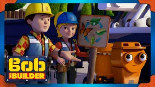 Bob the Builder | Circle of Life |⭐New Episodes | Compilation ⭐Kids Movies