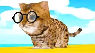 СИМУЛЯТОР Маленького КОТЕНКА #2 Милый котик на плаже. Cat Simulator - и друзья с Кидом на пурумчата