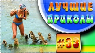 Лучшие видео приколы | Подборка приколов 2015 (сентябрь-часть 4)