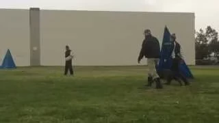 NASA IPO2 Cane Corso Schutzhund