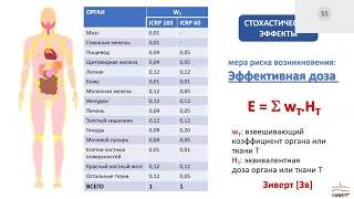 Теория и практика радиационной защиты в интервенционной радиологии ч  2