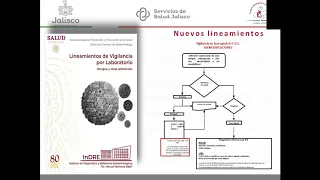 5  Algoritmo de diagnostico laboratorial del paciente con dengue