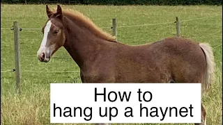 How to tie up / hang a haynet for your horse | karen badrick equestrian | horse tips