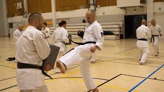 Zen in Budo, motivation (Kimura Shukokai karate training 武道 -demo) Finland. 空手