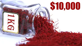 Saffron: Unraveling the World's Most Expensive Spice?