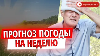 Прогноз погоды на неделю: когда в Украину вернется жара