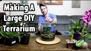 Making A Large DIY Terrarium