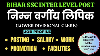 Bihar SSC Lover Divisional Clerk (LDC) Job Profile |BSSC निम्न वर्गीय लिपिक जॉब |Bihar SSC LDC Post