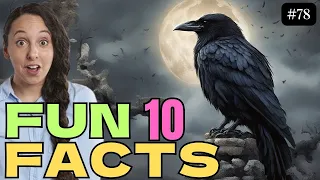 10 Interesting Facts The Legend of Derry's Haunted Rooks: Ireland's Mysterious Myth