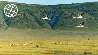 Ngorongoro Crater & Conservation Area, Tanzania  [Amazing Places 4K]