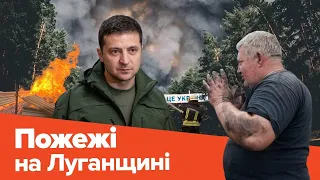 Пожежі на Луганщині: Зеленський, Аваков, авіація, погорілі телята
