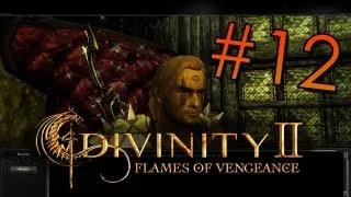 Let's Play DIvinity II: Ego Draconis - #012 - Einen Willi landen