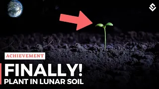 FINALLY! Plants Grown In Lunar Soil, For The First Time Ever