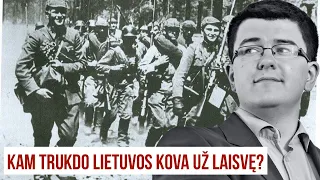 Kam trukdo Lietuvos kova už laisvę? Vytautas Sinica