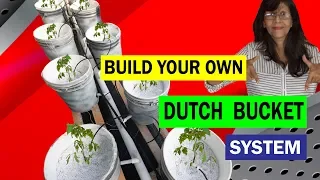 Dutch Bucket System.How to build a Dutch Bucket Hydroponic System