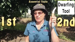 Dwarfing Tool: Cincturing or Girdling Fruit Trees | Quicker Fruiting