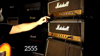 Marshall Silver Jubilee 2555 vs Marshall JCM800 2203x