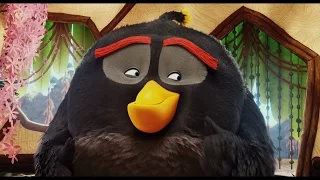 Когда у тебя бомбит (Angry Birds The Movie)