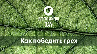 Как победить грех