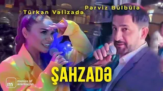 Pərviz Bülbülə ft. Türkan Vəlizadə — Şahzadə