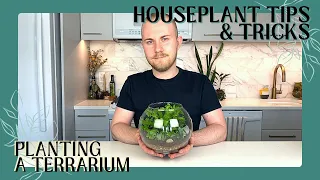 How To Plant A Terrarium | Houseplant Tips & Tricks Ep. 2