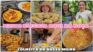 MUITA ALEGRIA AQUI NA ROÇA | FESTA DO MILHO🌽 MINHA MÃE E IRMÃ VEIO AJUDAR A COLHER | DIA MARAVILHOSO