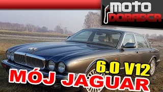 Jaguar XJ 6.0 V12 - test i opinia #275 MOTO DORADCA